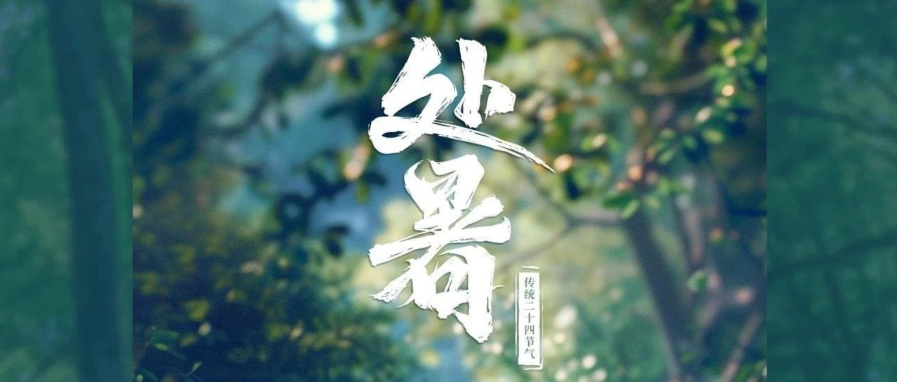 踏浪奔跑的盛夏，肆意撒歡的童年